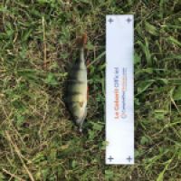 photo prise 4745 par Mattou vision FlyFishing