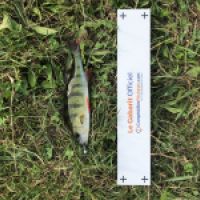 photo prise 4746 par Mattou vision FlyFishing