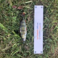 photo prise 4747 par Mattou vision FlyFishing