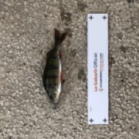 photo prise 4750 par Mattou vision FlyFishing