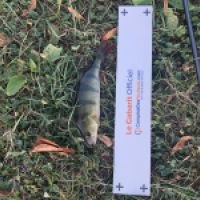 photo prise 4751 par Mattou vision FlyFishing