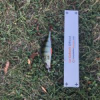 photo prise 4752 par Mattou vision FlyFishing