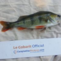 photo prise 4756 par Mr Perche 