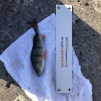 photo prise 4764 par Mattou vision FlyFishing