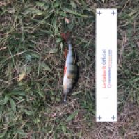photo prise 4773 par Mattou vision FlyFishing