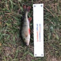 photo prise 4775 par Mattou vision FlyFishing