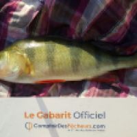 photo prise 4778 par Mr Perche 