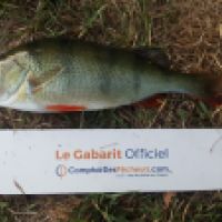 photo prise 4788 par Mr Perche 