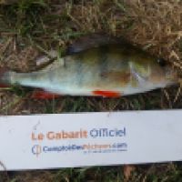 photo prise 4789 par Mr Perche 