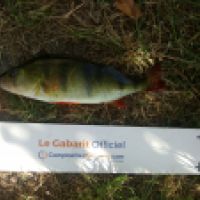 photo prise 4792 par Mr Perche 