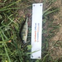 photo prise 4797 par Mattou vision FlyFishing