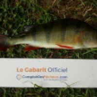 photo prise 4883 par Mr Perche 