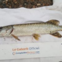 photo prise 4884 par Mr Perche 