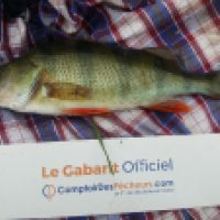 photo prise 4885 par Mr Perche 