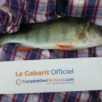 photo prise 4886 par Mr Perche 