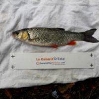 photo prise 4897 par Mr Perche 