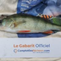 photo prise 4911 par Mr Perche 