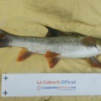 photo prise 4927 par Mr Perche 