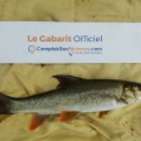 photo prise 4931 par Mr Perche 