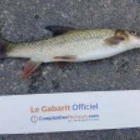 photo prise 4932 par Mr Perche 