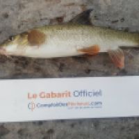 photo prise 4934 par Mr Perche 