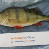 photo prise 4972 par Mr Perche 