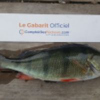 photo prise 4973 par Mr Perche 