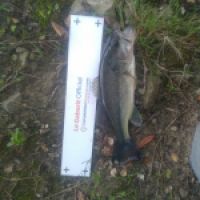photo prise 5011 par Olivier