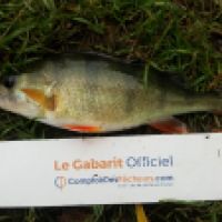 photo prise 5033 par Mr Perche 