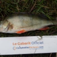 photo prise 5034 par Mr Perche 