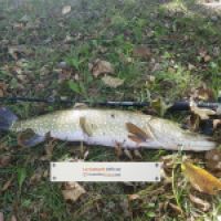 photo prise 5038 par Mattou vision FlyFishing