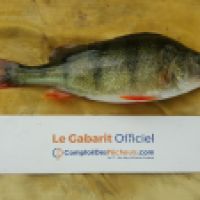 photo prise 5047 par Mr Perche 