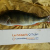 photo prise 5048 par Mr Perche 