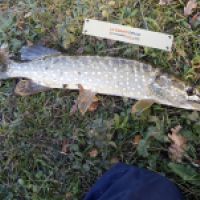 photo prise 5063 par Mattou vision FlyFishing