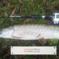 photo prise 5066 par Mattou vision FlyFishing