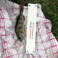 photo prise 5091 par Mattou vision FlyFishing
