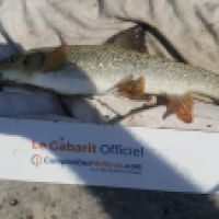 photo prise 5101 par Mr Perche 
