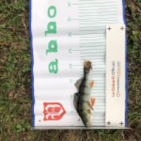photo prise 5108 par Mattou vision FlyFishing