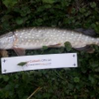 photo prise 5112 par pike man 94 
