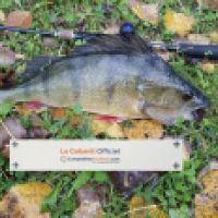 photo prise 5130 par Mattou vision FlyFishing