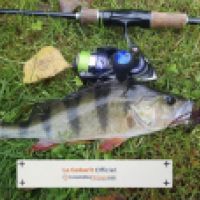 photo prise 5131 par Mattou vision FlyFishing