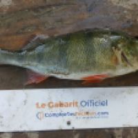 photo prise 5134 par Mr Perche 