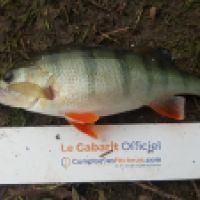 photo prise 5163 par Mr Perche 