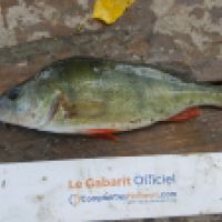 photo prise 5166 par Mr Perche 