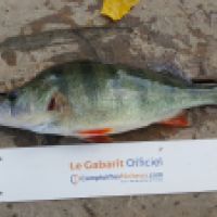 photo prise 5167 par Mr Perche 