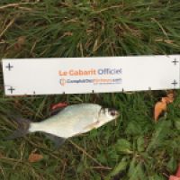 photo prise 5169 par Sam