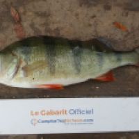 photo prise 5179 par Mr Perche 