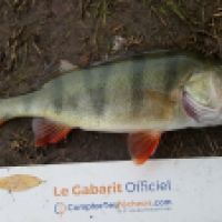 photo prise 5180 par Mr Perche 