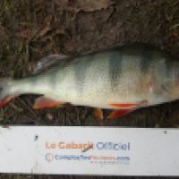 photo prise 5188 par Mr Perche 