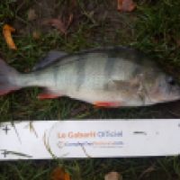 photo prise 5193 par Mr Perche 